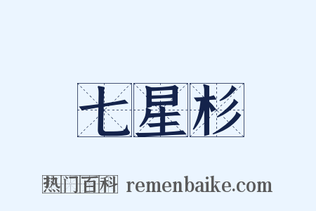 七星杉是什么意思的图片